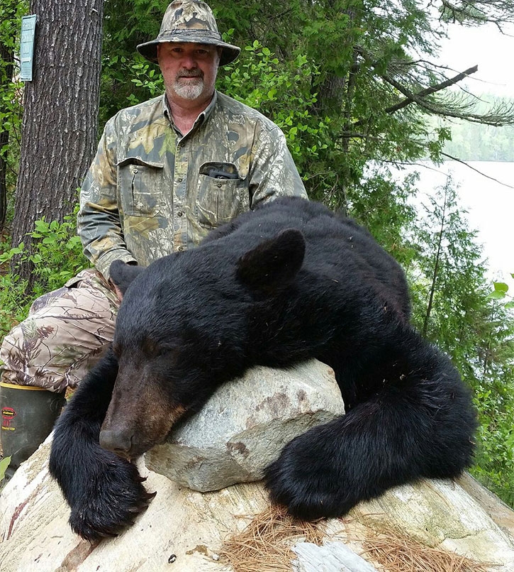 About The Bear Hunt